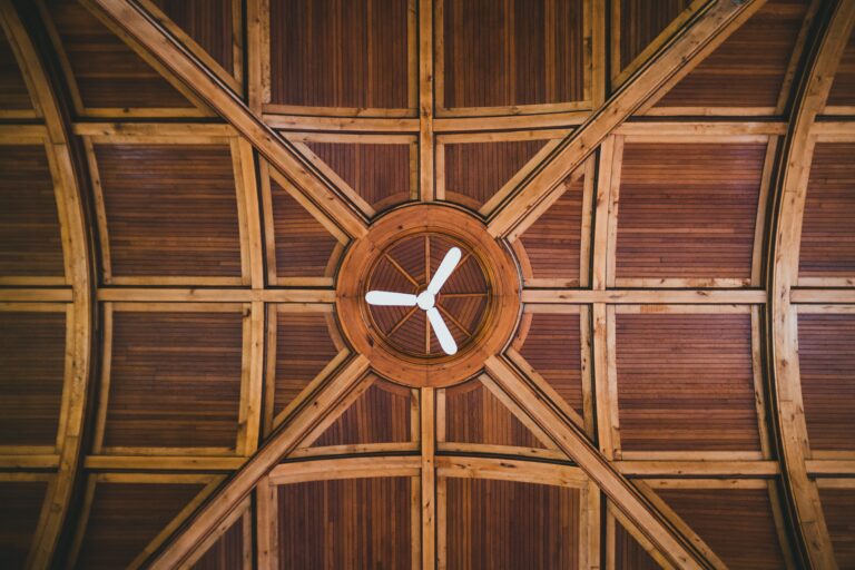 Mejor Ventilador De Techo Ocu